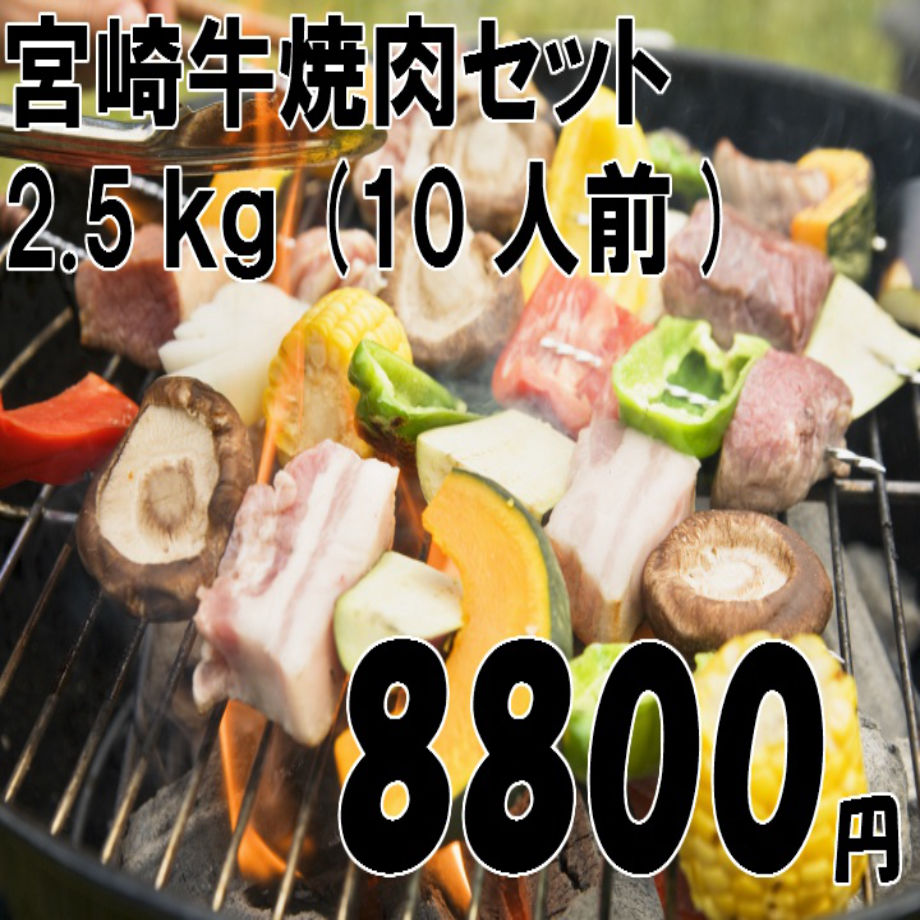 宮崎牛焼肉セット 2 5kg 10人前 肉のながやま Grill Base 宮崎牛焼肉セット 2 5kg 10人前 肉のながやま Grill Base