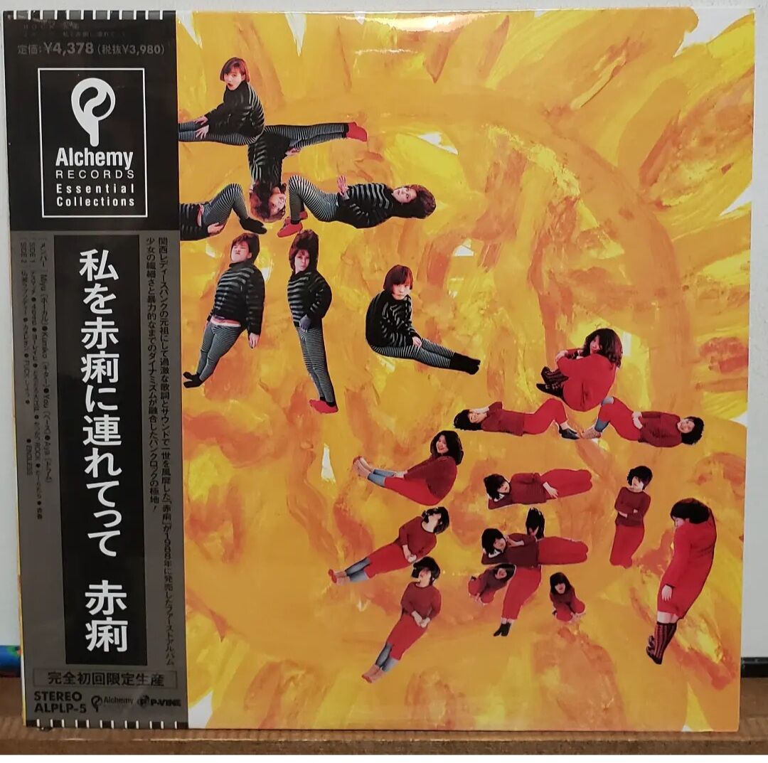 Lp 赤痢 Sekiri 私を赤痢に連れてって 初回完全限定生産盤 新品未開封シールド