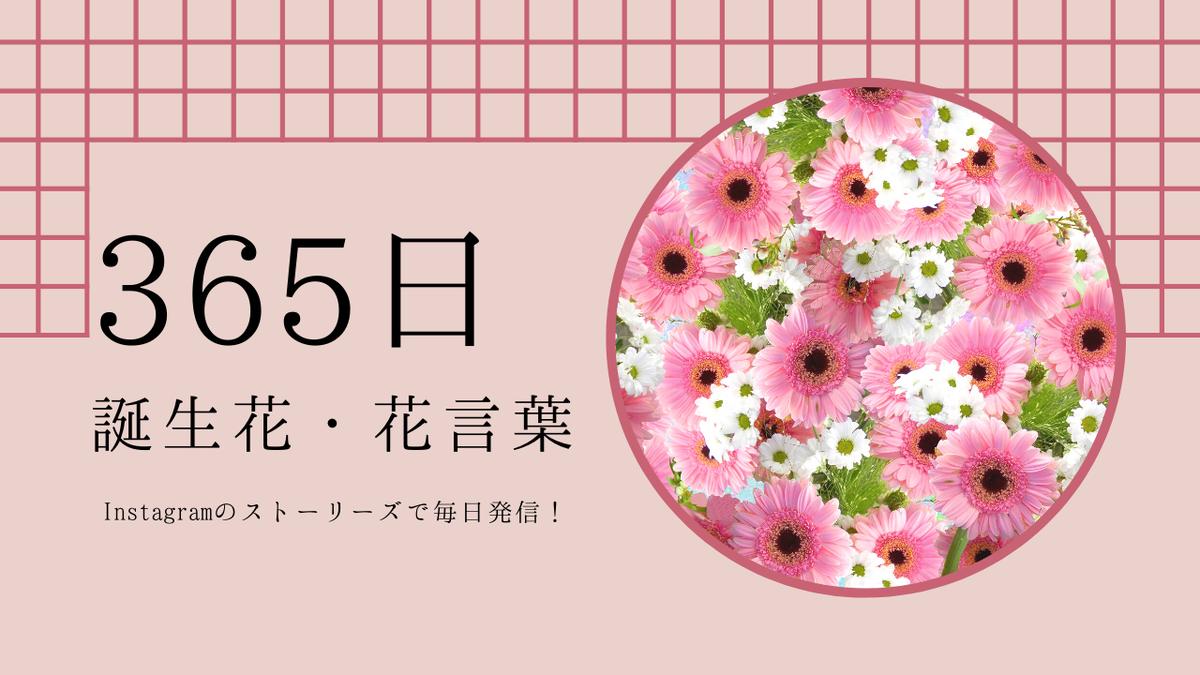 【365日】誕生花って知ってる?|花言葉とお花の歴史について | Soeru 手のひらサイズの...