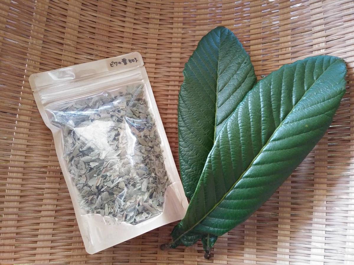 びわの葉っぱ！ 乾燥or生葉 【公式通販】