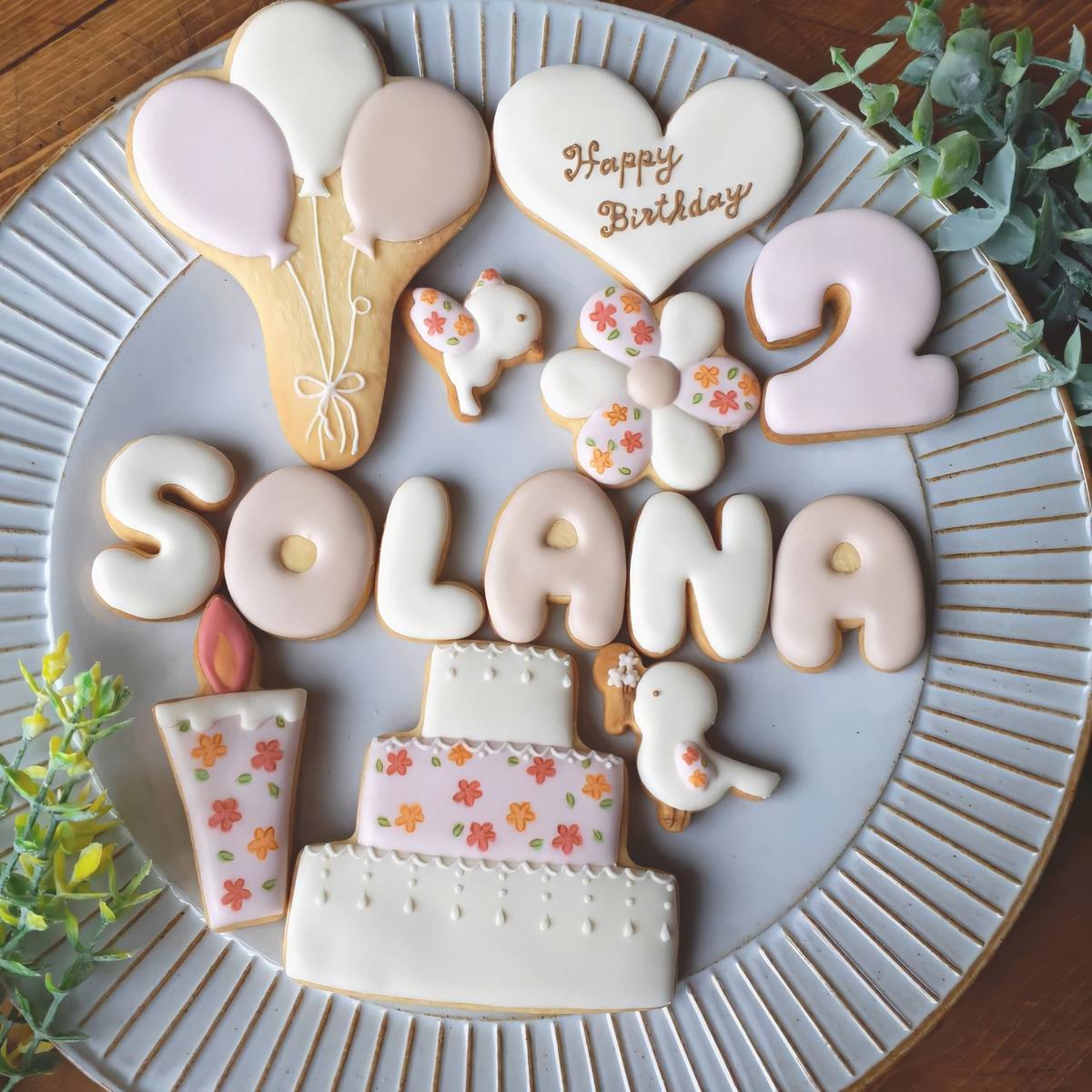 セミオーダー アイシングクッキーセット Birthday 女の子 大 Solana