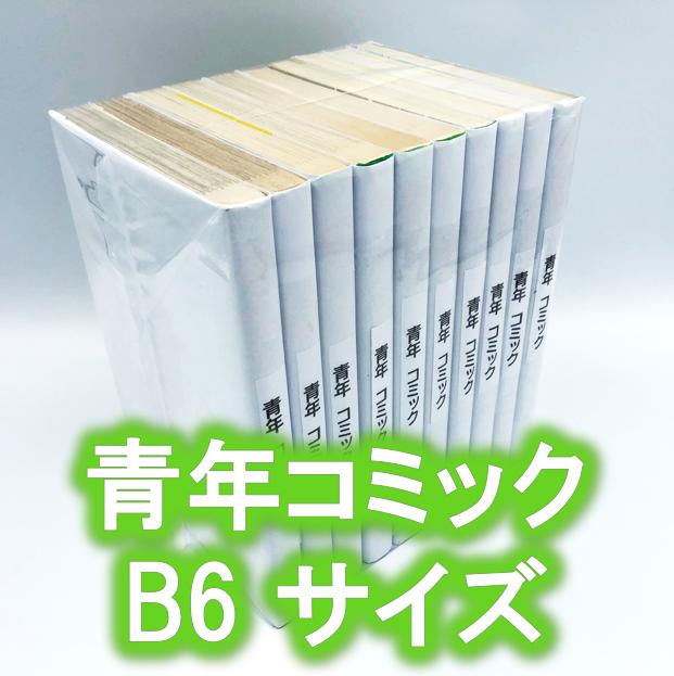 枚入り 青年コミック B6 サイズ約10冊用 スプラータ セット本梱包資材 掲載写真内の