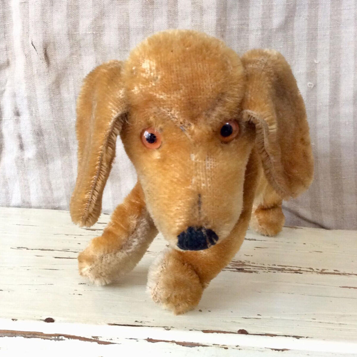 最安挑戦! シュタイフ 犬 mohairsoft waldi 2023年最新】シュタイフ