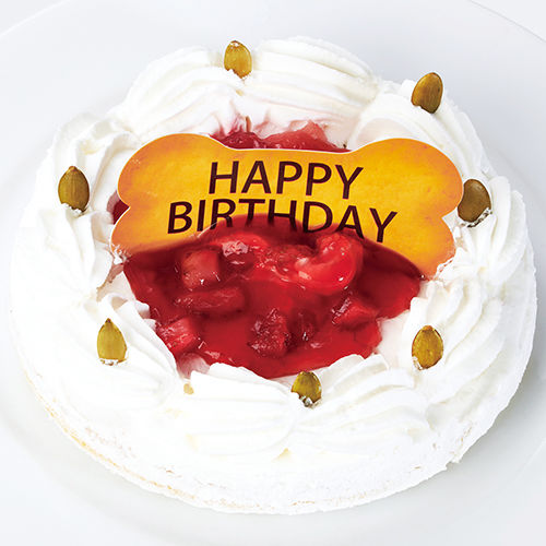 ワンちゃん用 コミフ いちごのバースデーケーキ Store Quebec