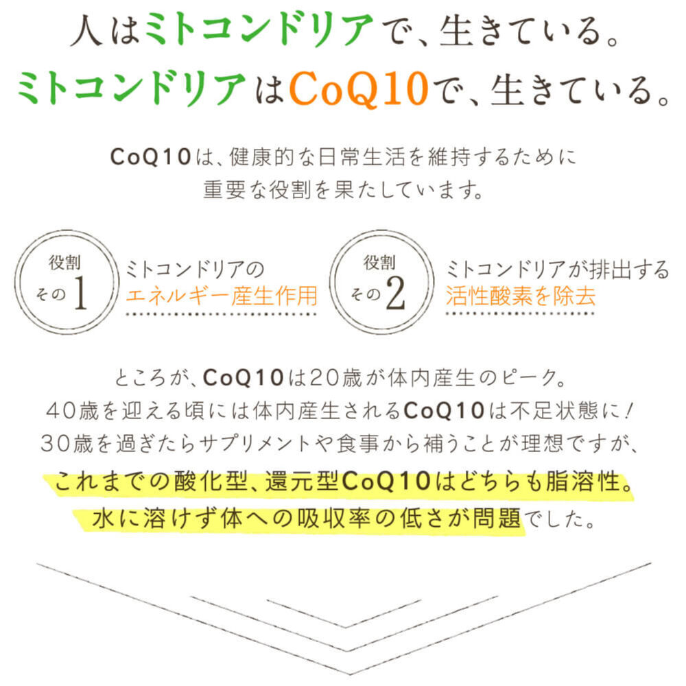 定期便 タンポポq10 吸収型コエンザイムq10 ジオスゲニン ミトコンドリア活性サプリメント