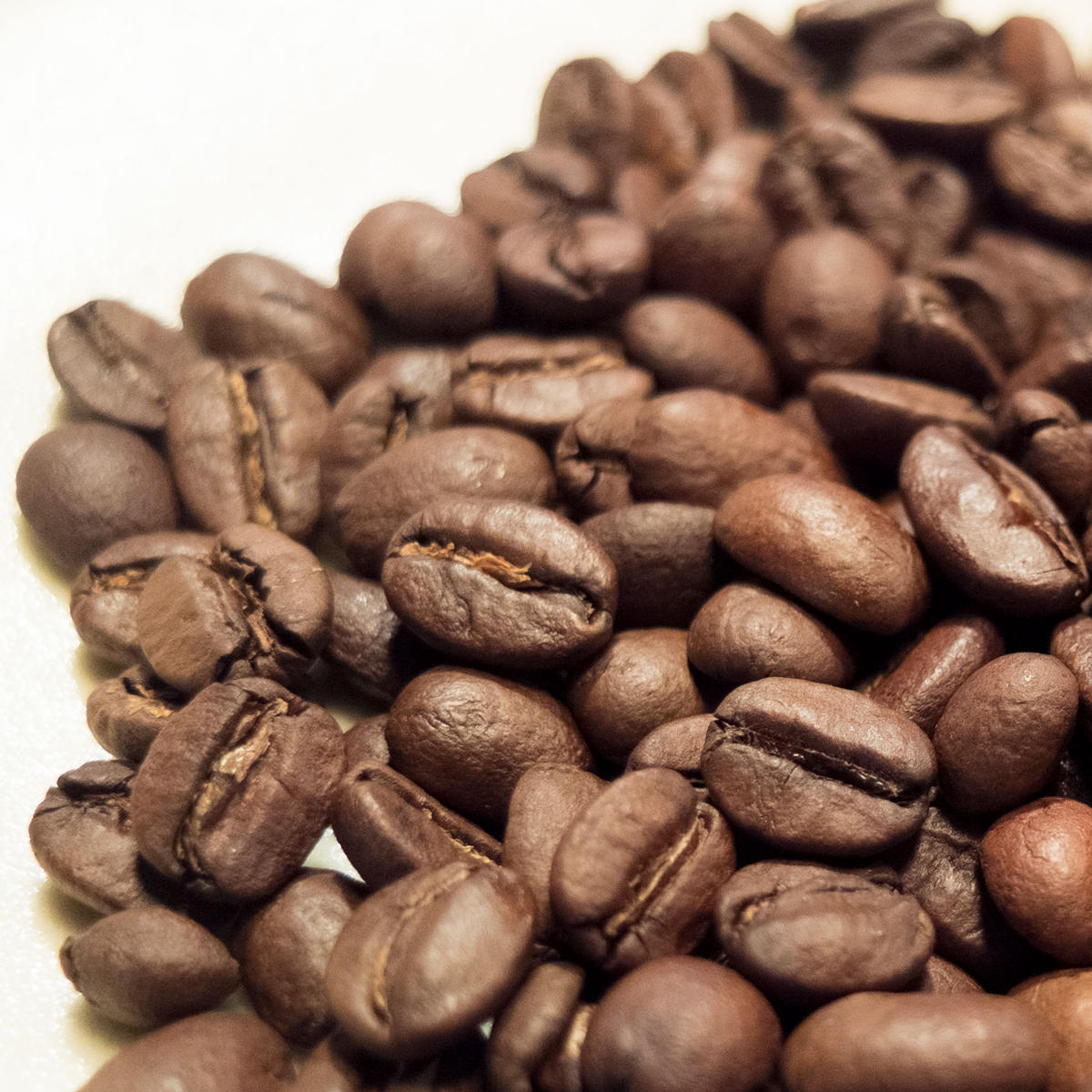 ORIGINAL BLEND【200g】 STRINGS COFFEE ROASTERS