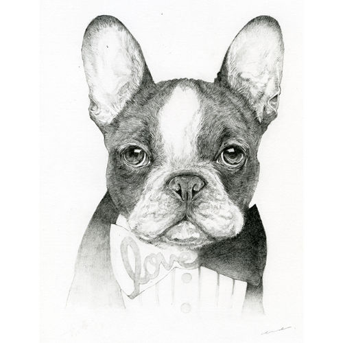 アーティスト Eveさんによる肖像画オーダーメイド フレンチブルドッグと中型犬の犬服 ビビビ