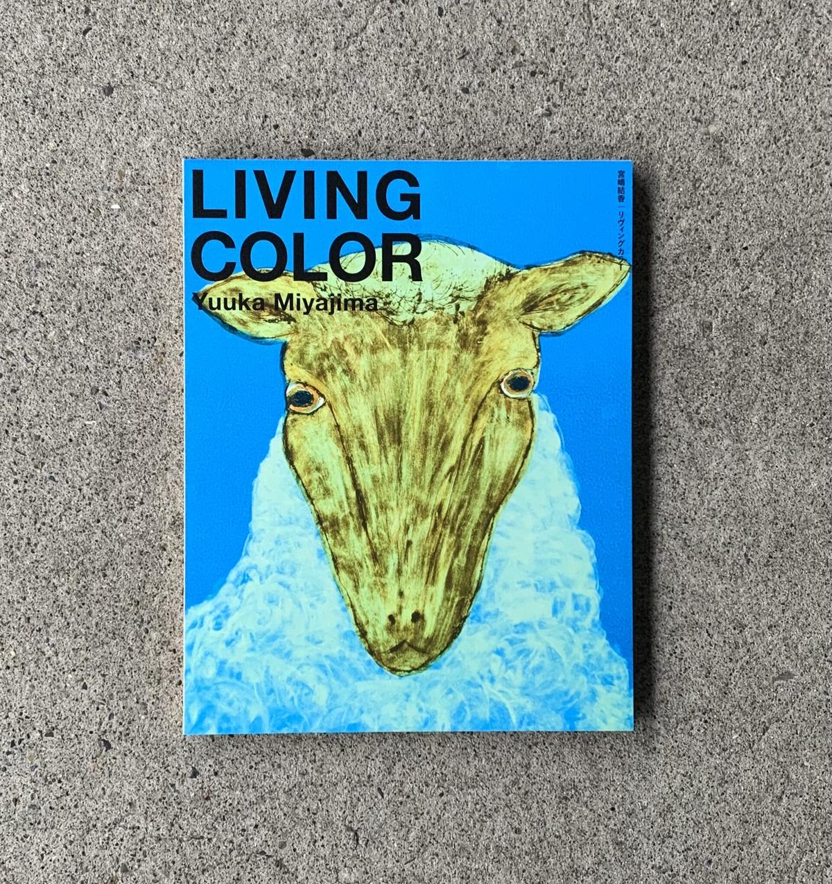 宮嶋結香 Living Color Sunny Boy Books 宮嶋結香 Living Color Sunny Boy Books