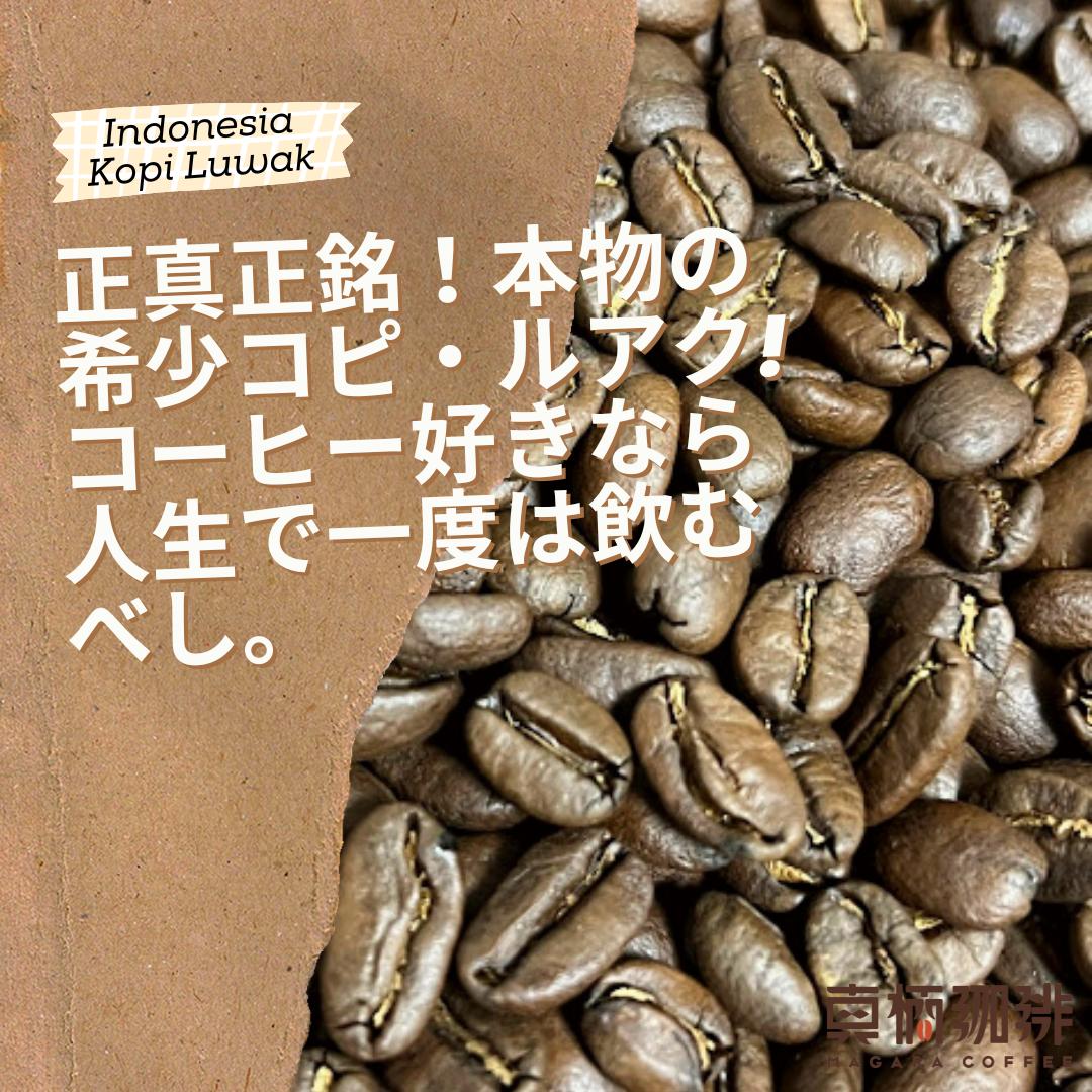 全信頼を寄せる オーガニックコピルアク1㎏！期間限定価格！☆最高級コーヒー☆ コーヒー