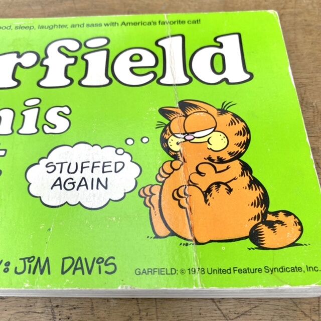 Sale 90 Off B0356 Garfield ガーフィールド コミック 古本 雑誌 マガジン Www Isole Greche Com