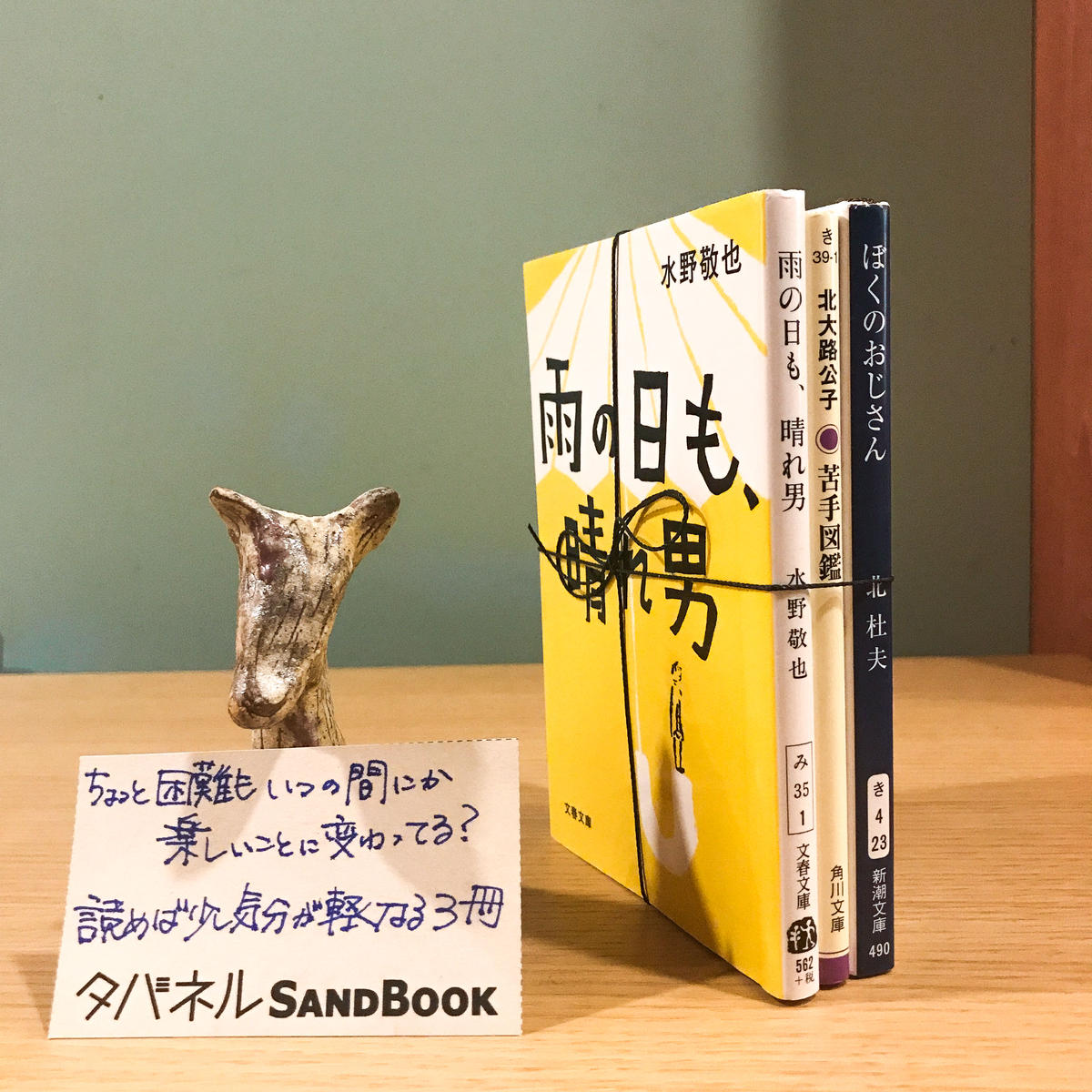 タバネルsandbook 斜め前向き編 タバネルブックス