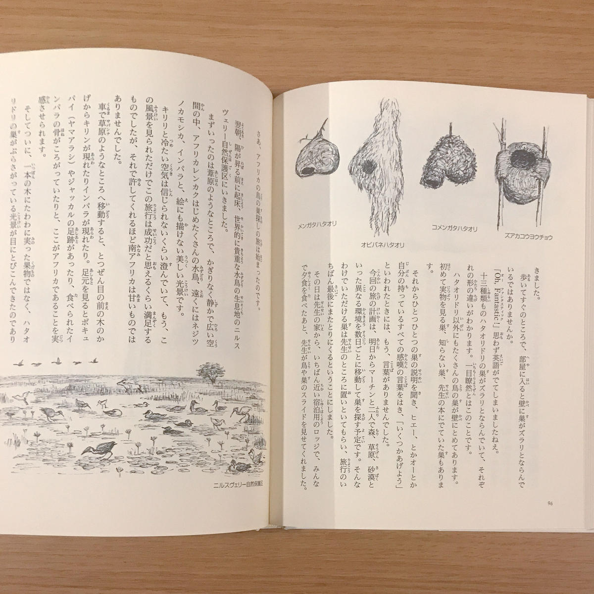 世界の鳥の巣をもとめて タバネルブックス