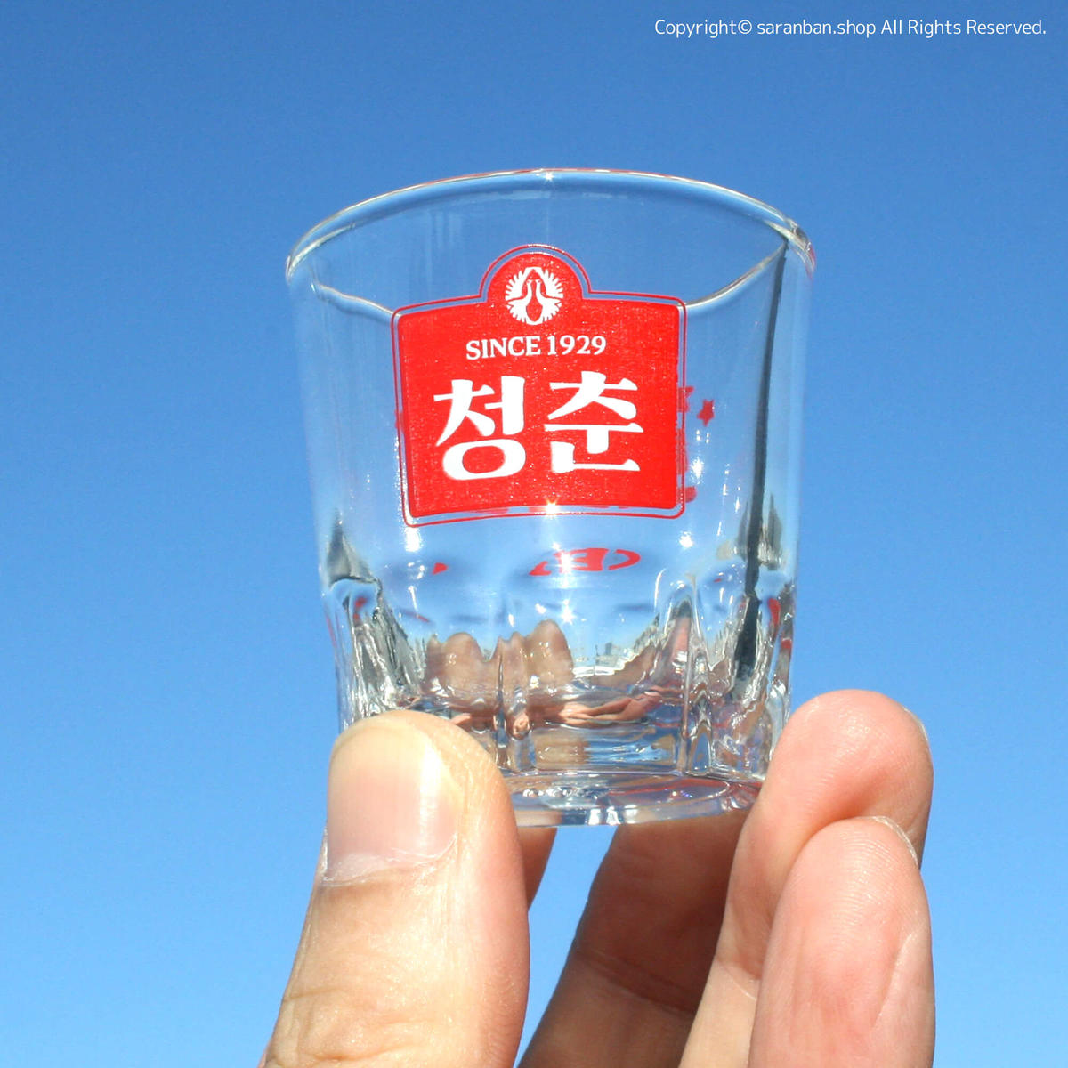 청춘 チョンチュン ブラボー焼酎グラス サランバン まいにち韓国気分