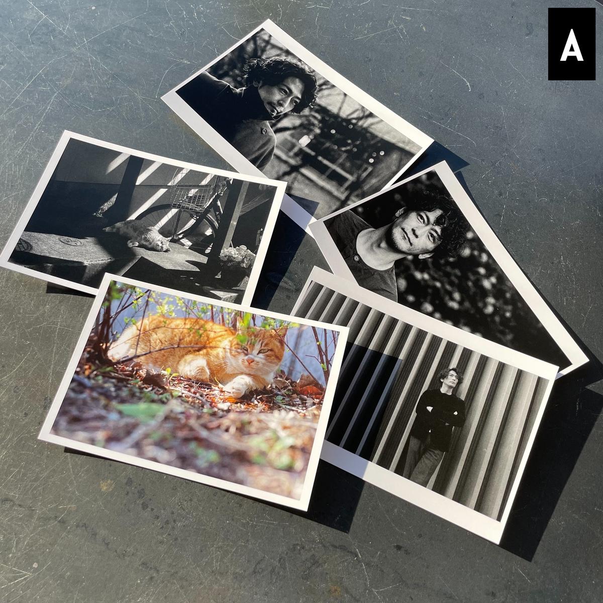 木造 geminifourth 写真集 FRIENDTASTIC ポストカードセット