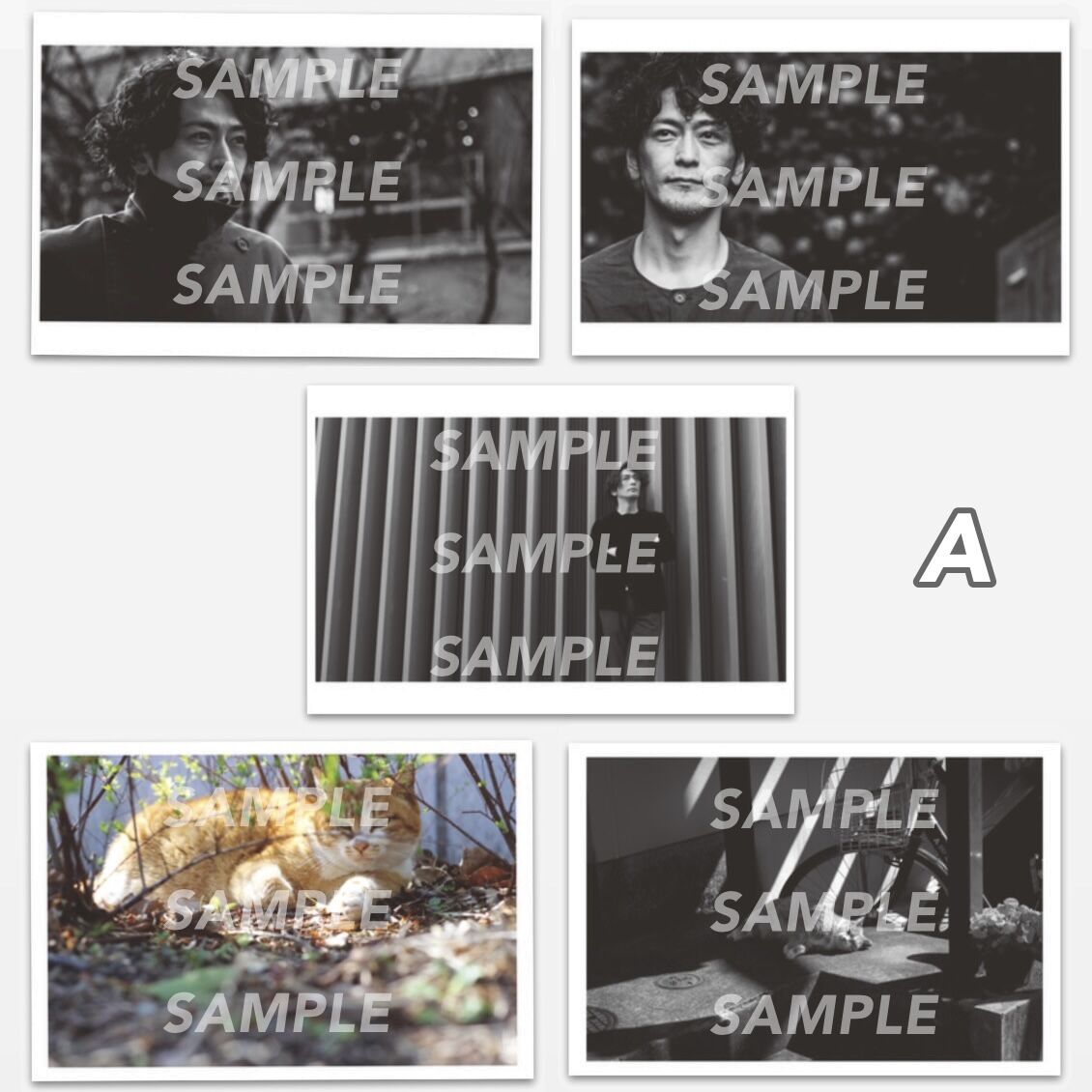 激安銀座 店 - geminifourth 写真集 FRIENDTASTIC ポストカードセット