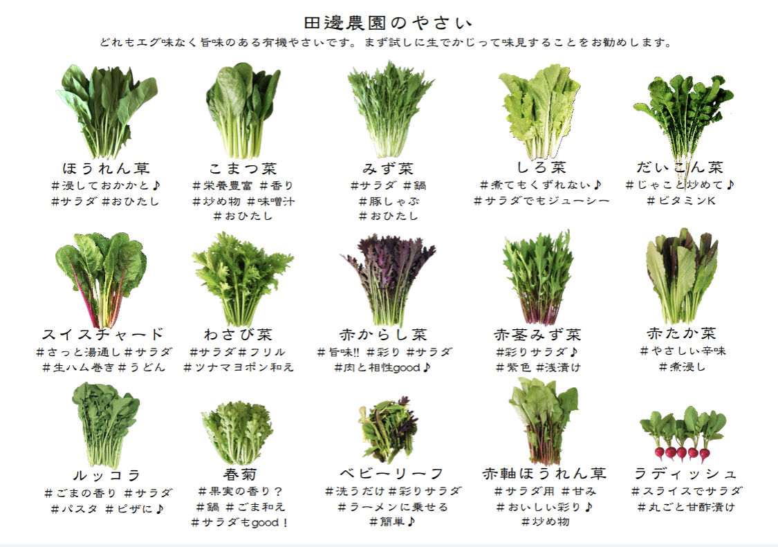 定期便 採りごろ葉菜セット５種類以上 30パックを毎月２回お届け たなべのやさい