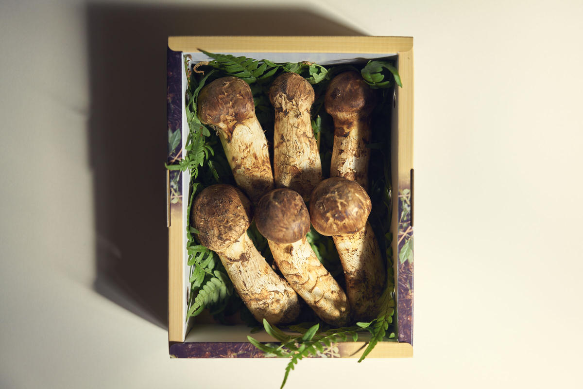 山形県高畠産 松茸 五本