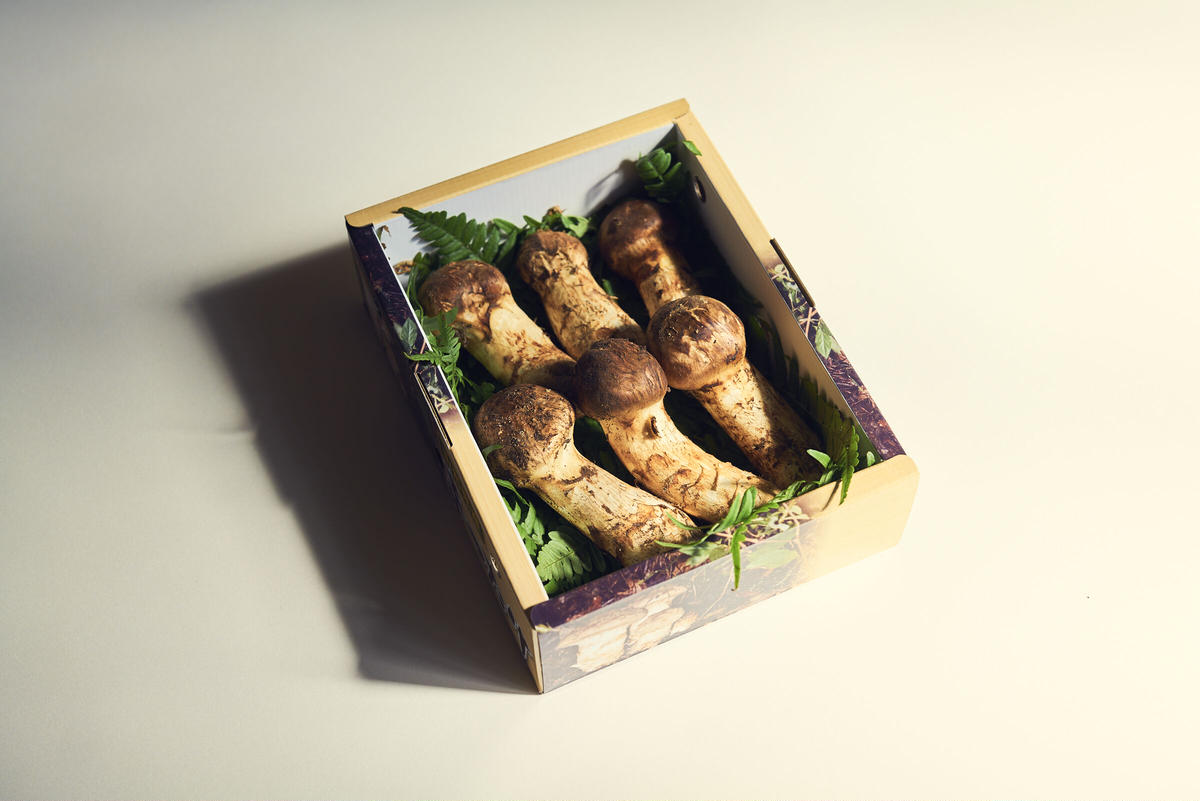 山形県高畠産　松茸　五本 山形県高畠産 松茸 五本