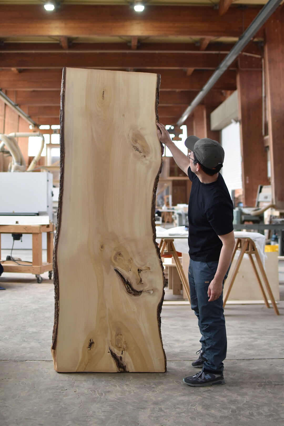 001イチョウの一枚板 | Tanzen Makers Shop