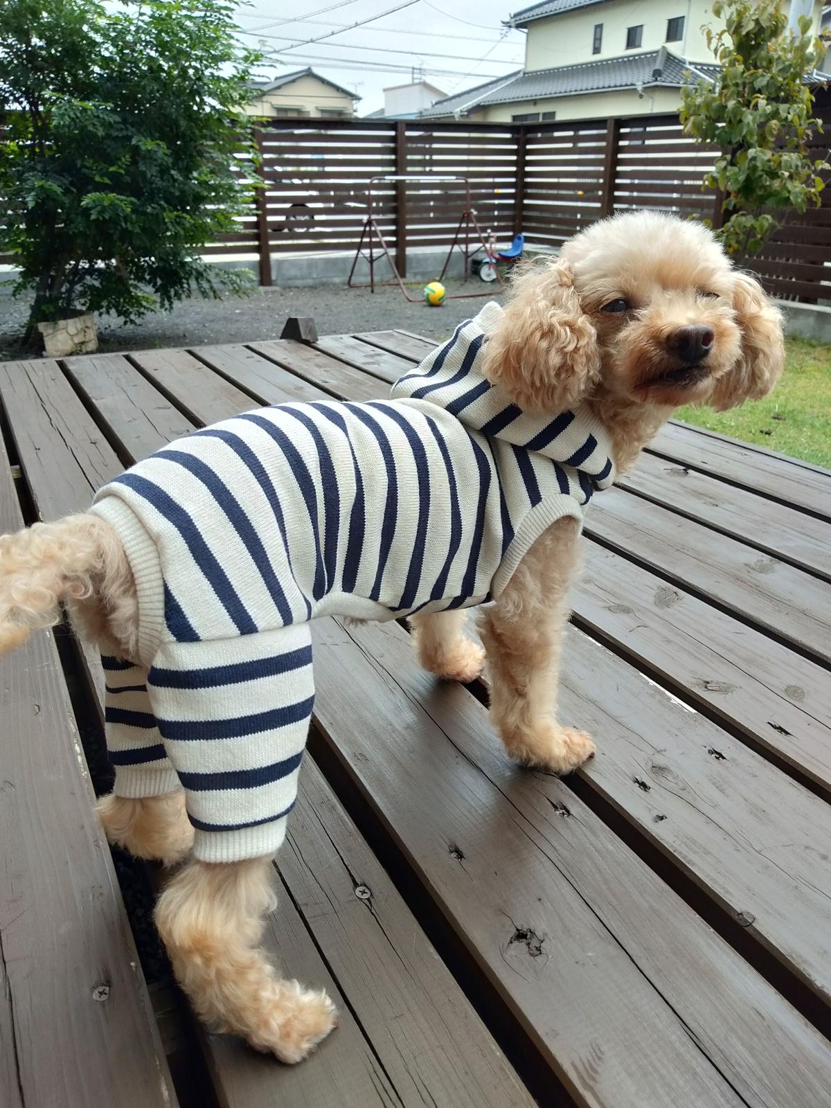 カバーオール Msサイズ Techichi