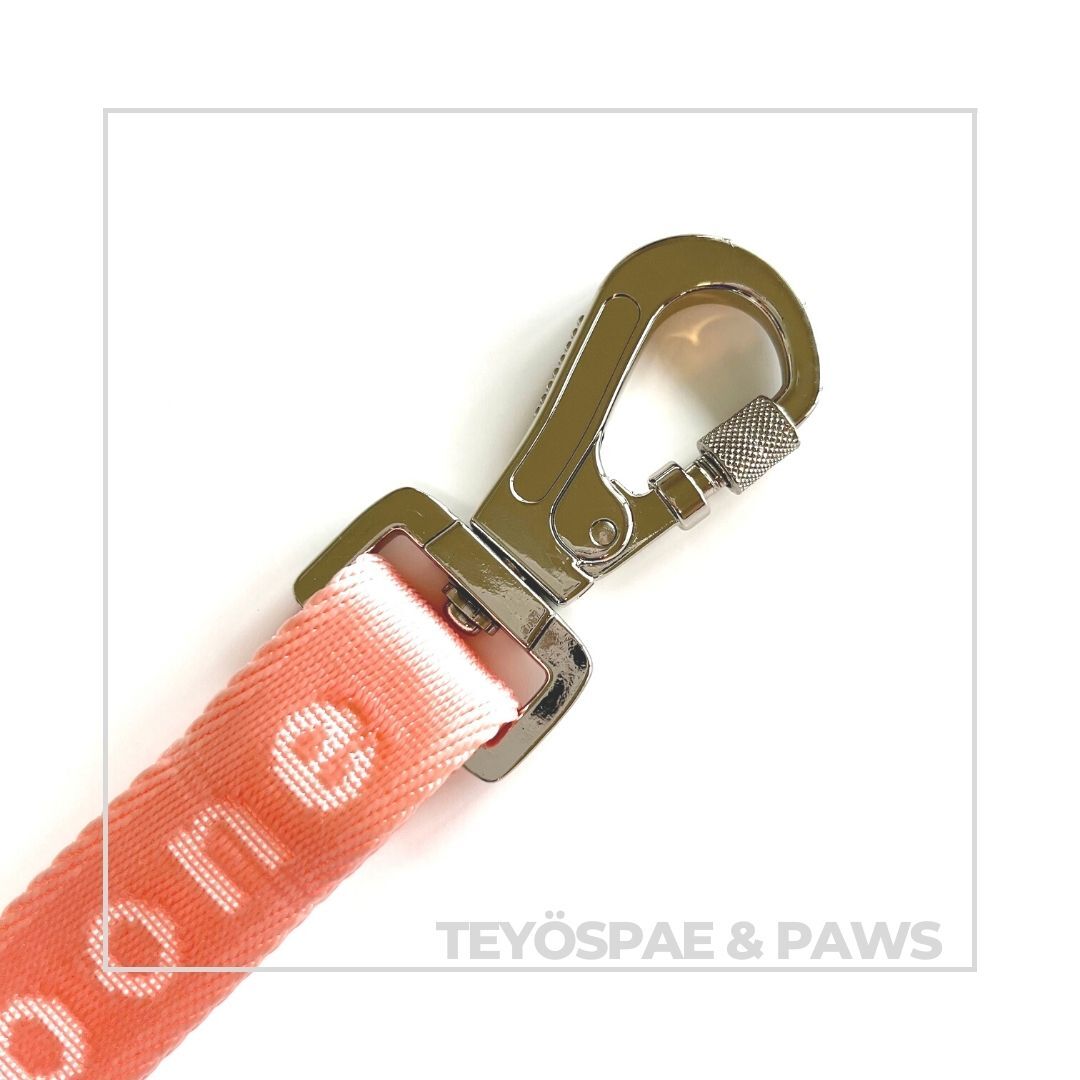 【maxbone】Mini GO! With Ease Hands Free Leash