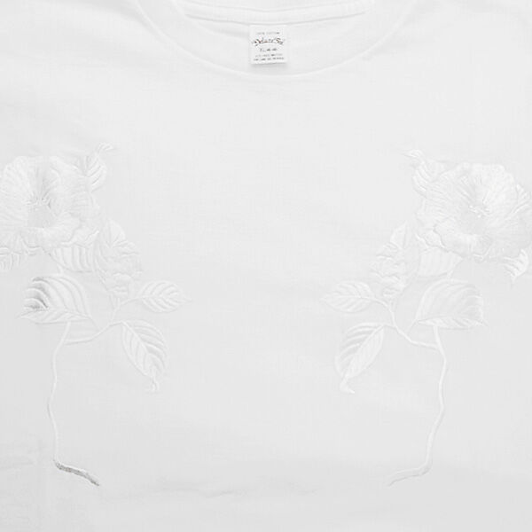 Tシャツ エヴィセン デラックス EVISEN skateboards DELUXE × EV...