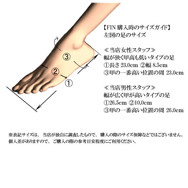 ゼベック フィン Sサイズ