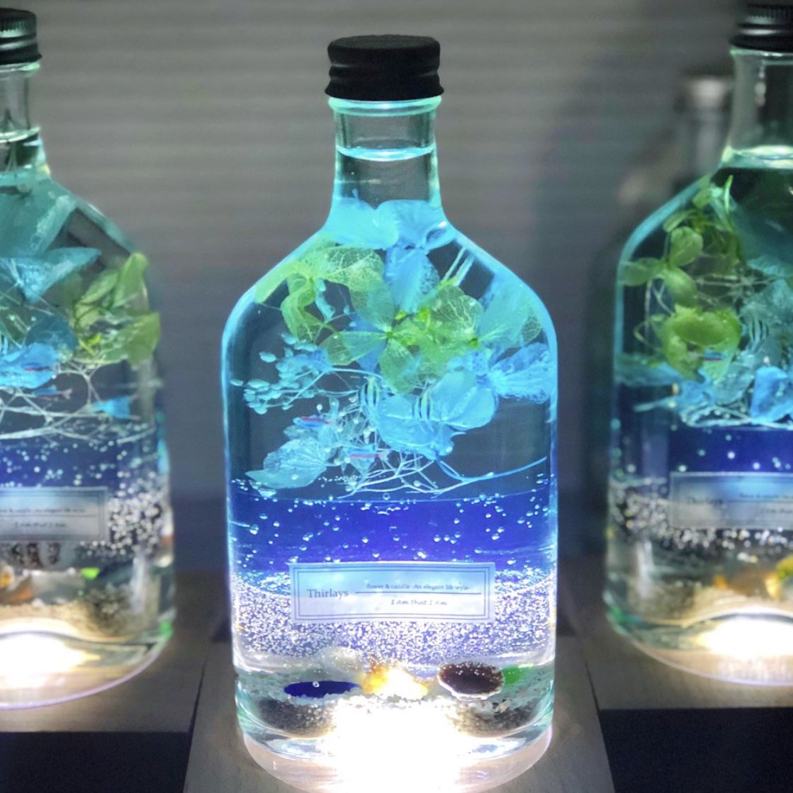 おうちで水族館 熱帯魚泳ぐ白砂ビーチの海の世界 海の灯りアクアリウム 癒しの天然ブナの木のl おうちで水族館 熱帯魚泳ぐ白砂ビーチの海の世界 海の灯りアクアリウム 癒しの天然ブナの木のl