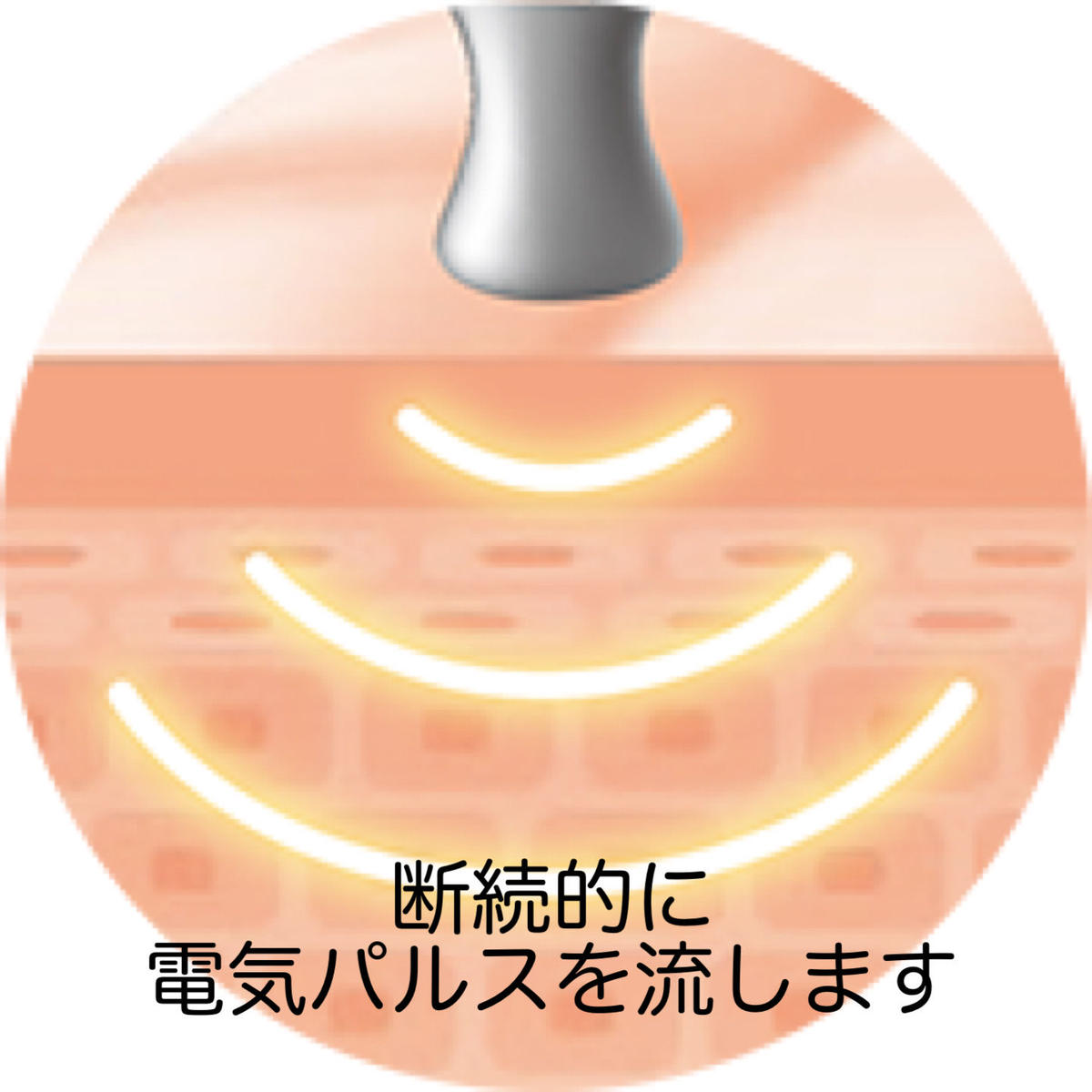 アデランス ビューステージベガスプレミアム | Tiara Home care アデランス ビューステージベガスプレミアム | Tiara Home care