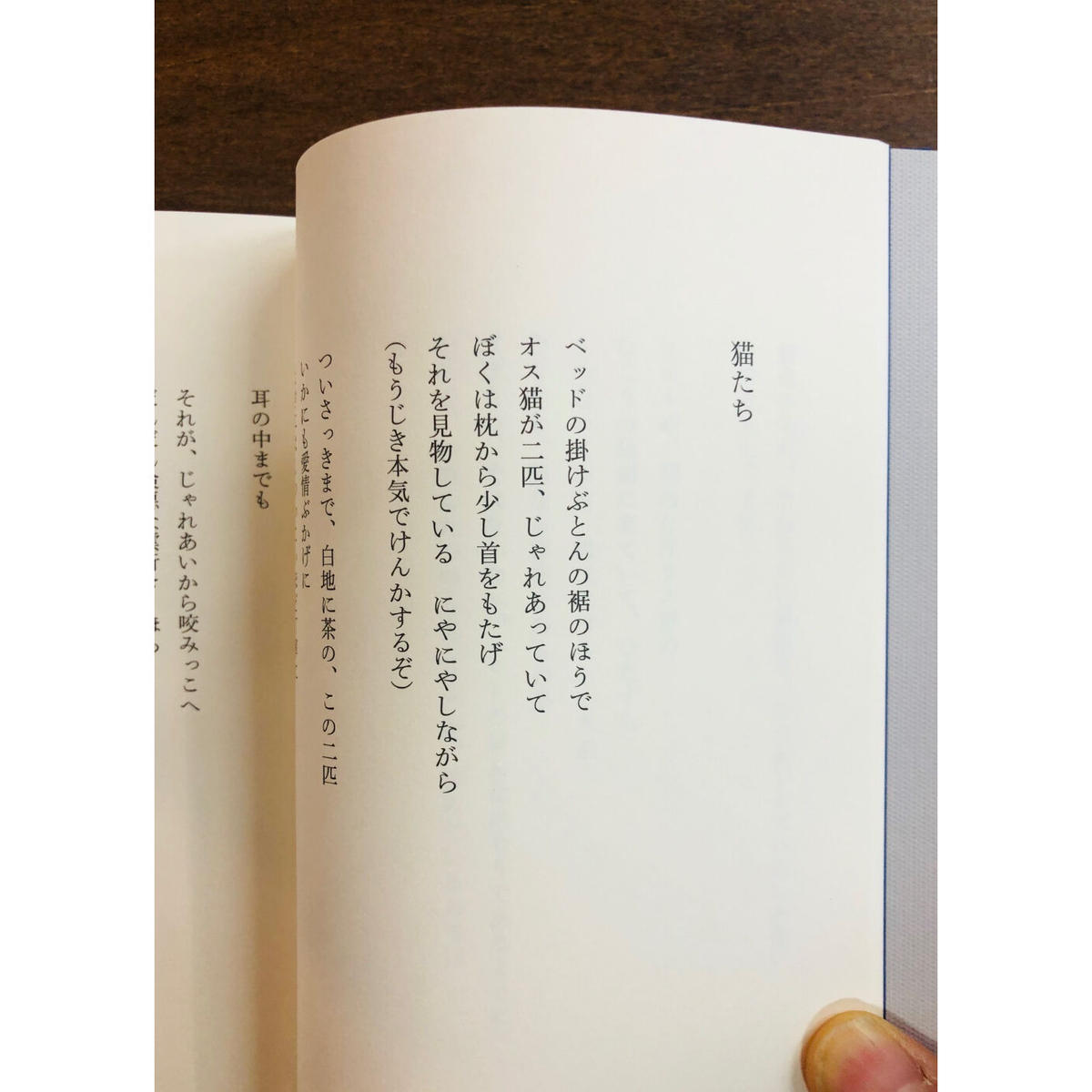 空とぶ猫 Title Web Shop 空とぶ猫 Title Web Shop