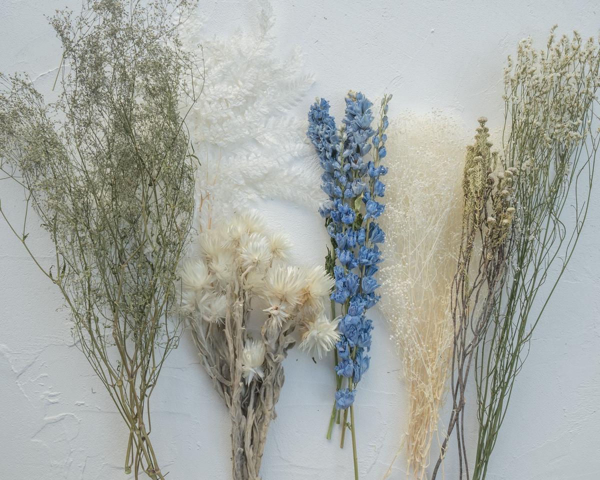 ドライフラワー花材セット 】デルフィニウム、カスミソウ入り | TOKYO