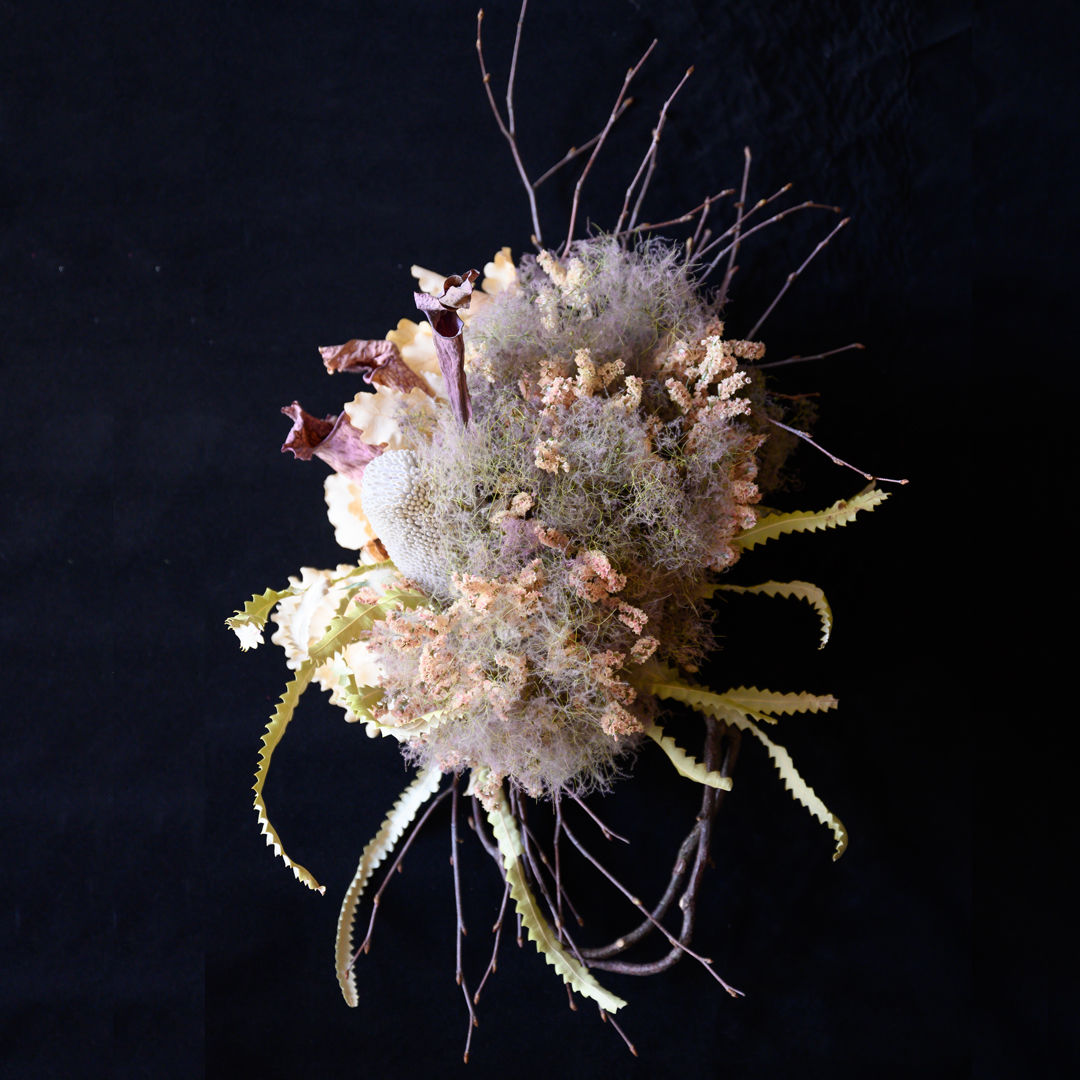 1点限り スモークツリーの ドライフラワーオブジェ バンクシア Tokyo Fant