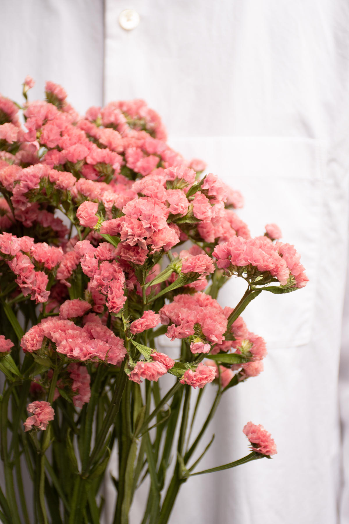 スターチス アプリコットオレンジ ドライフラワー#681