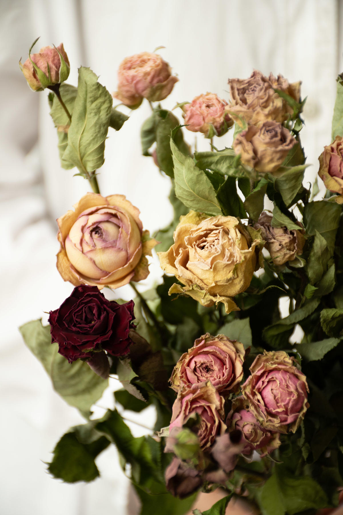 最安値挑戦 K Hana様専用 786 白バラドライフラワー 6本組 工房直送価格