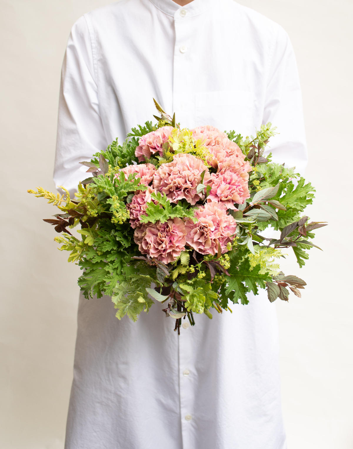 カーネーション バビロン Tokyo Shokubutsu Zufu