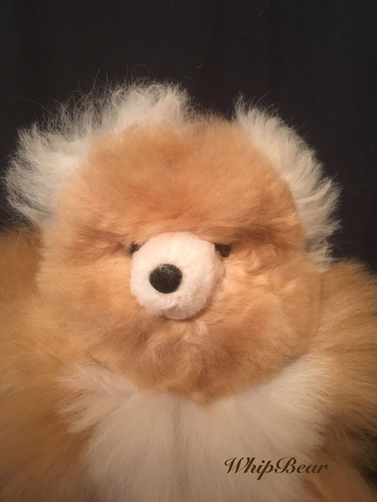 ホイップベアｍ ベビーアルパカ毛100 テディベア Whipbear
