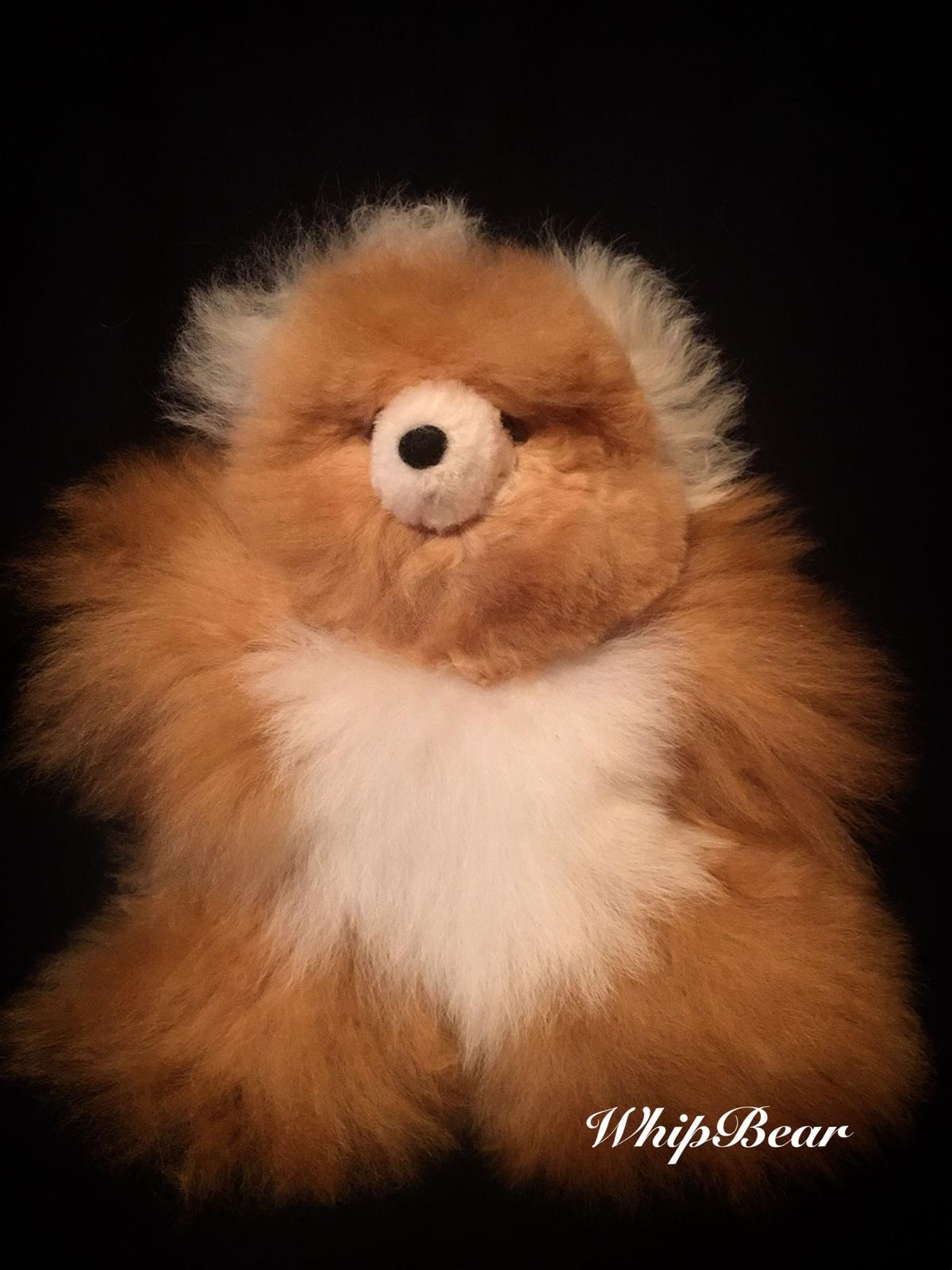 ホイップベアｍ ベビーアルパカ毛100 テディベア Whipbear