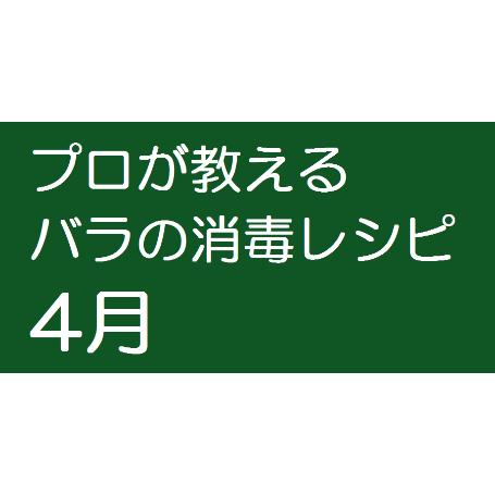 プロが教える バラの消毒レシピ 4月 この画像をクリック やまもと土づくり研究所