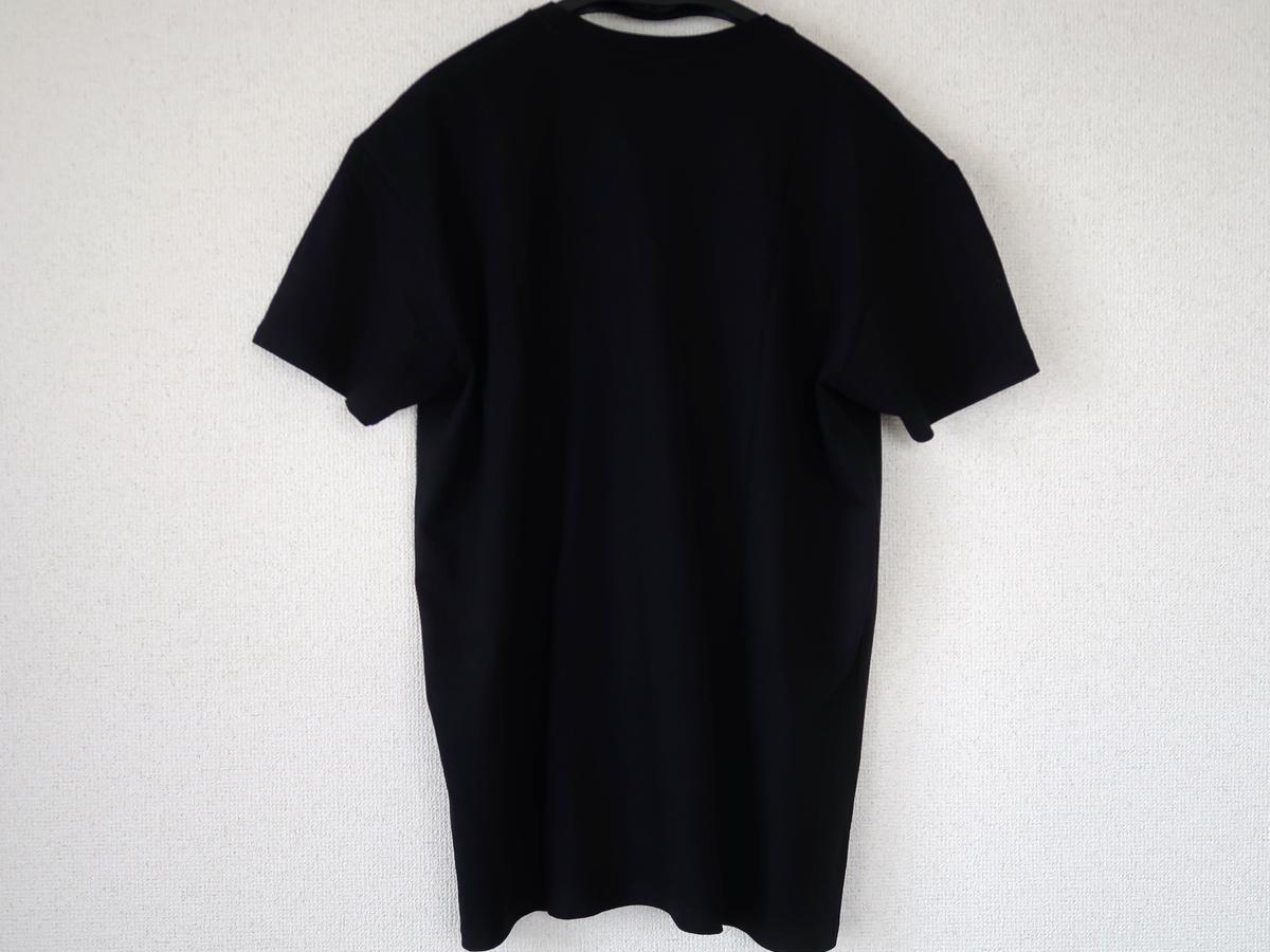 Tシャツ 耳飾りの少女柄 カザフスタン Nurila Medetbek Nm Ts009