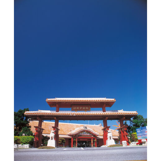 御菓子御殿 プリンセスムーンセット シークワーサー マンゴー 10個入り Twc Store 御菓子御殿 プリンセスムーンセット シークワーサー マンゴー 10個入り Twc Store