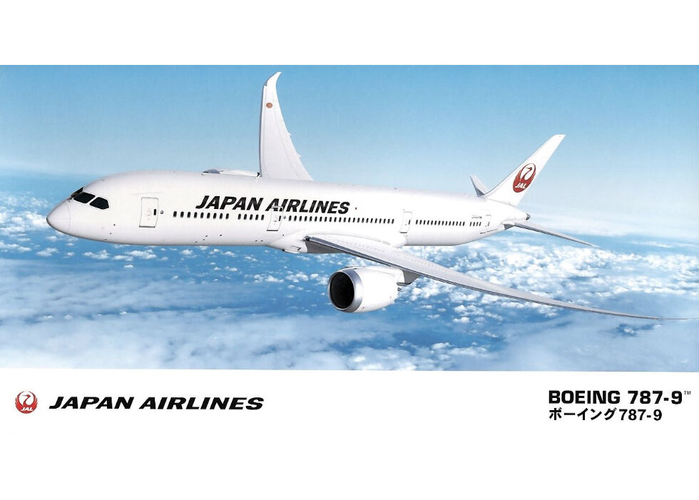 アウトレット セール長島 価格 - 4/27にJL機内で購入、撮影で一度だけ箱から出しました。丁寧に発送します。 - インターネットセール:5520円 - ブランド:afantasticfind.co