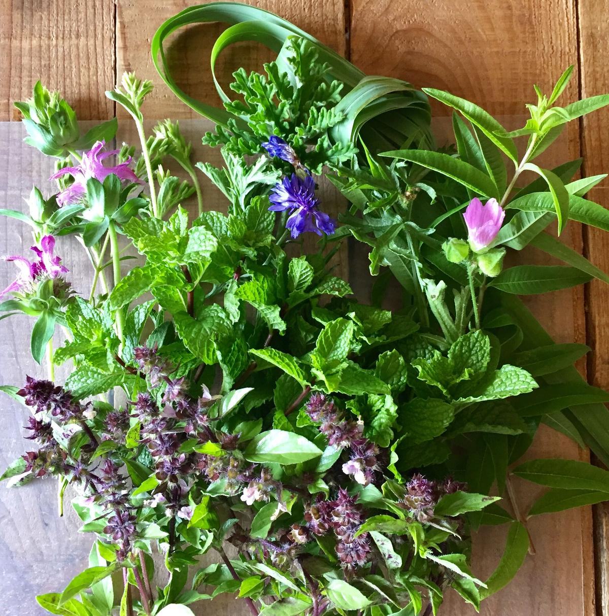 ハーブティー用 季節のフレッシュハーブセット うかspice Online Shop