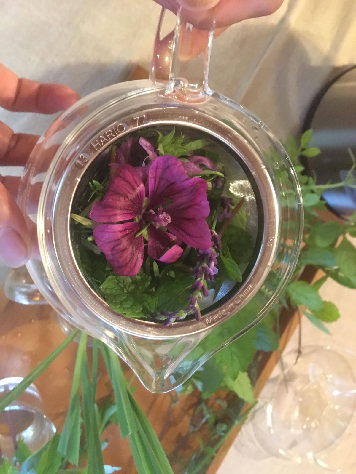 ハーブティー用 季節のフレッシュハーブセット うかspice Online Shop