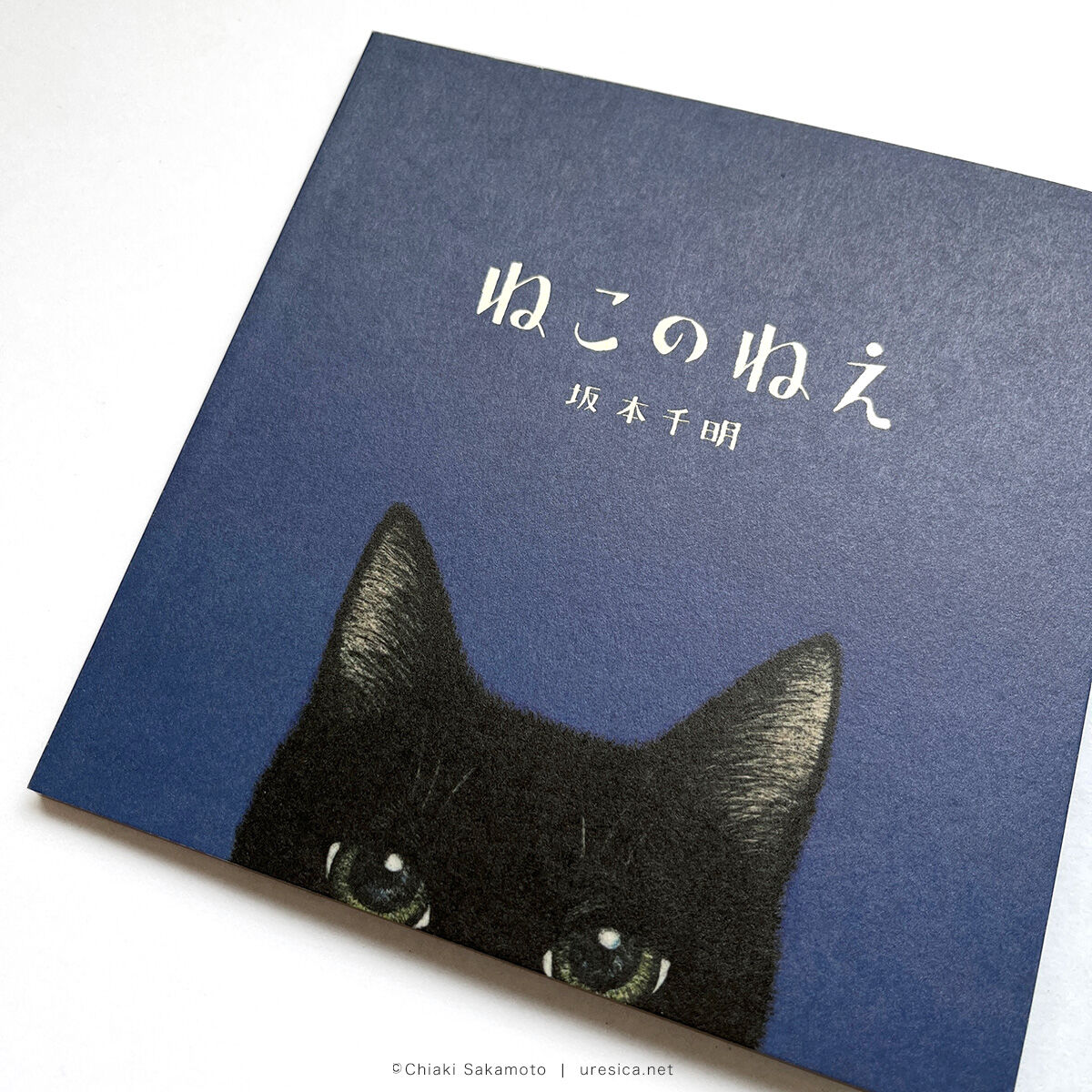 ねこのねえ』坂本千明☆サイン本 | URESICA