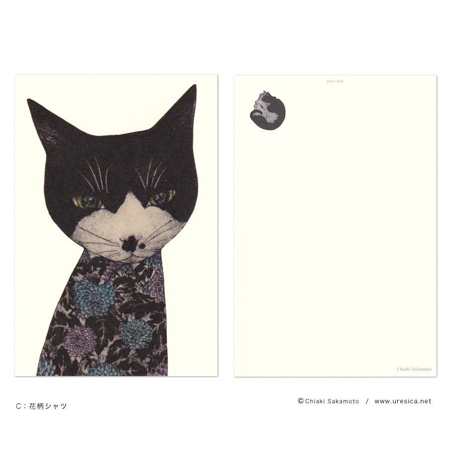 坂本千明 ポストカード(猫)
