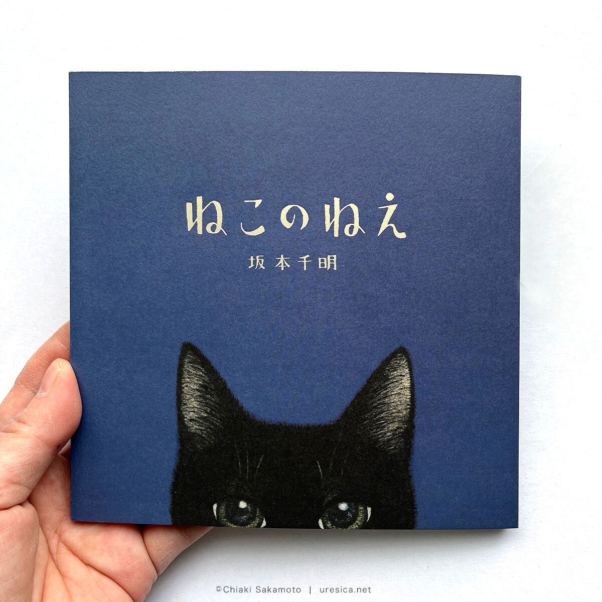 『ねこのねえ』坂本千明 サイン本 | URESICA