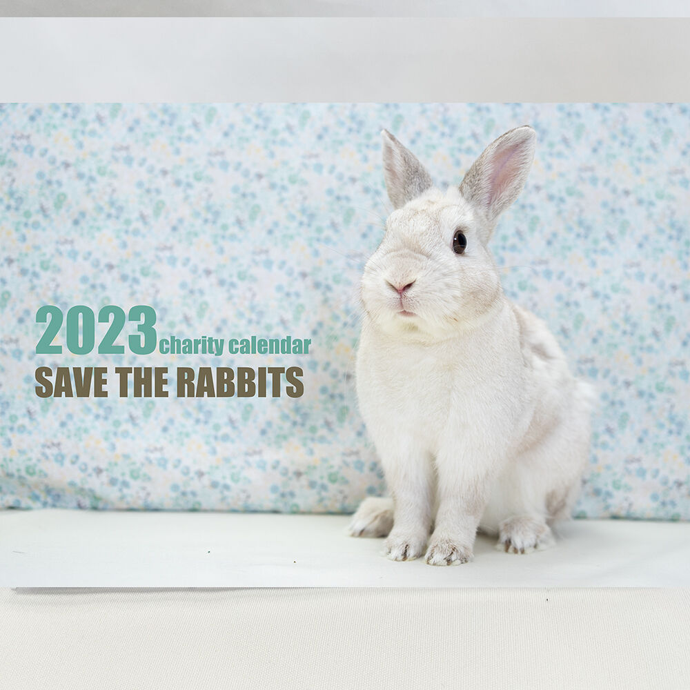 うさぎにグミを食べさせることは虐待か Save The Rabbits Blog うさぎの里親募集