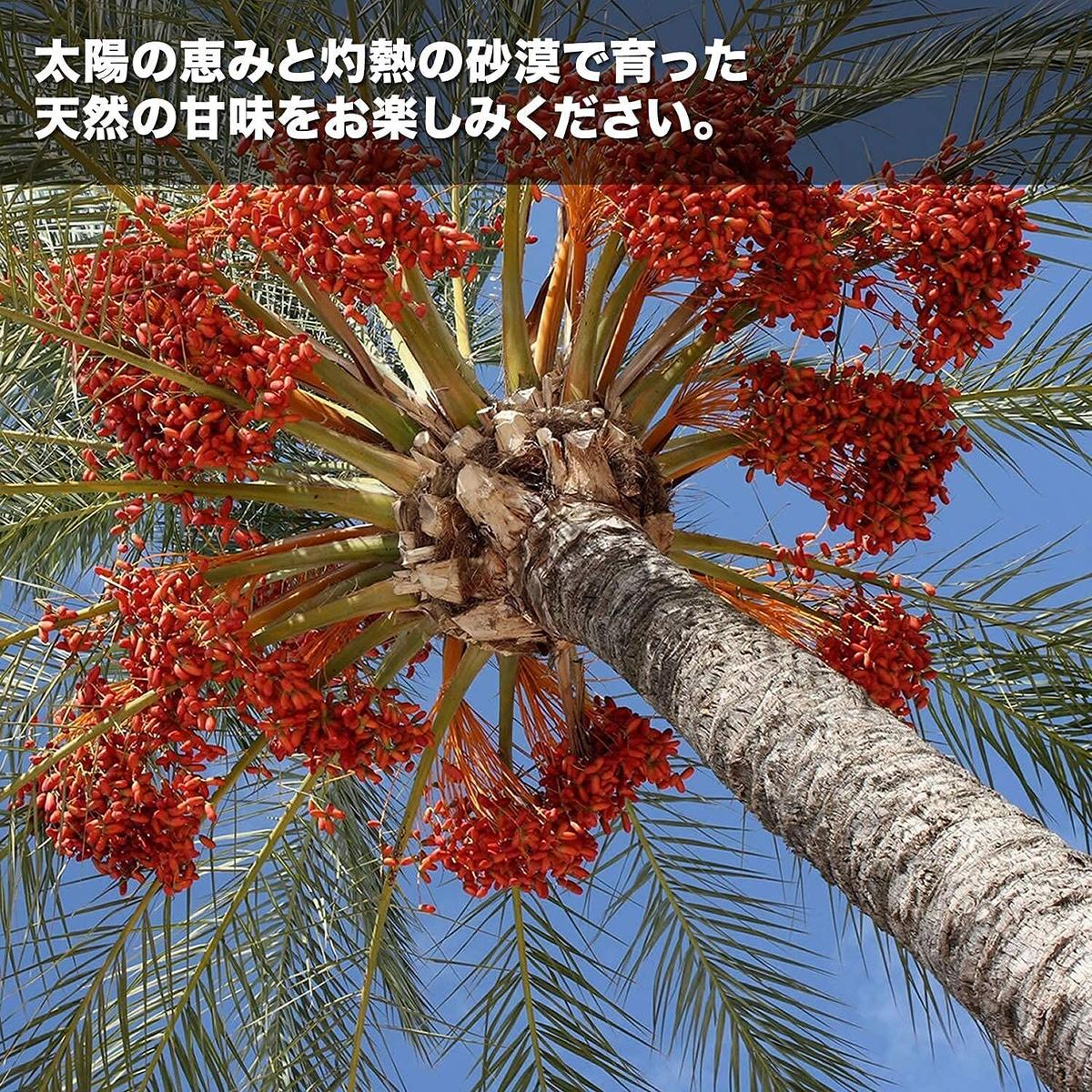 デーツクラウン デーツ ファード種 1kg Wadaインターネット