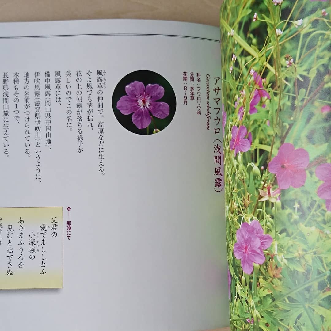 お買い得 上皇 上皇后さまがお慈しみの植物図鑑 送料無料沖縄除く 本 実用書 Lptik Unib Ac Id