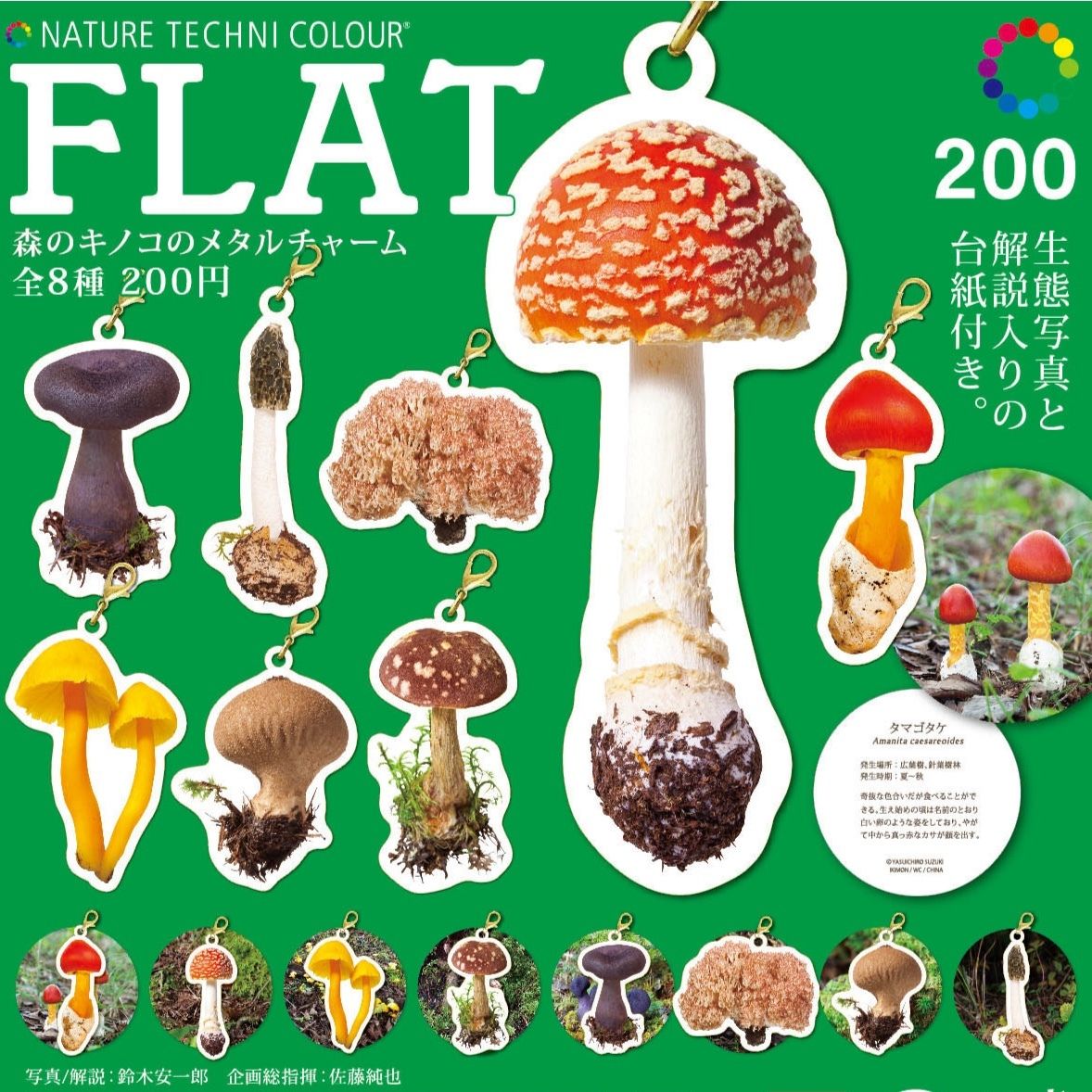 Flat森のキノコのメタルチャーム 株式会社いきもん Webストア Flat森のキノコのメタルチャーム 株式会社いきもん Webストア